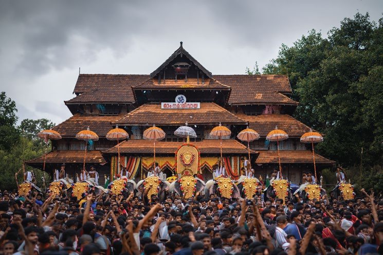 Caparisoned elephants at Thrissur Pooram festival